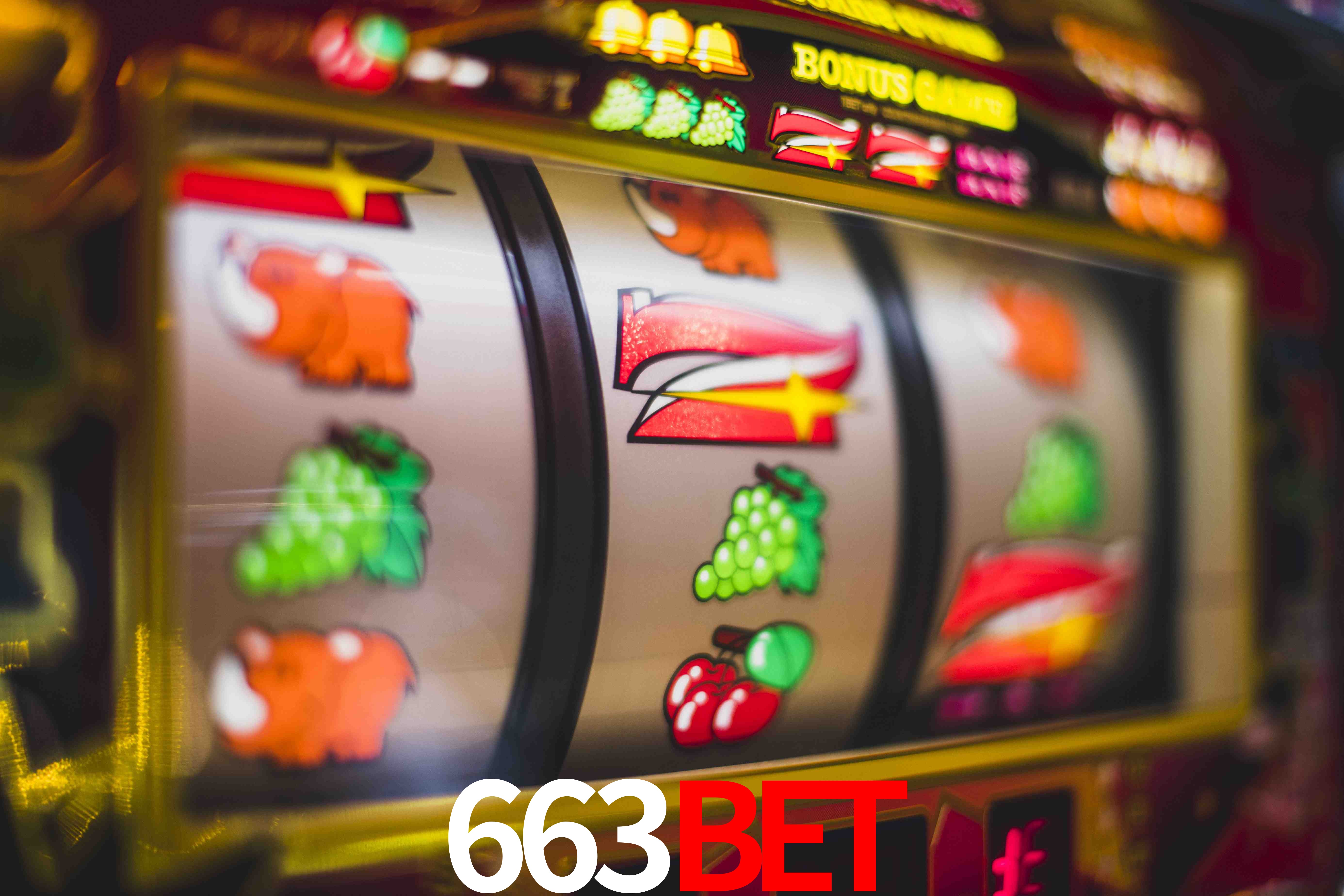 Experiência VIP 663bet